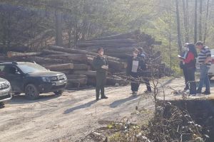 Maramureşenii care EXPLOATEAZĂ pădurile în zona Monesei, ARȘI de Garda de Mediu (FOTO)
