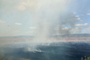 APM Bistriţa-Năsăud: Arderea miriştilor, strict interzisă