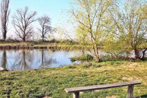 Angajaţii ABA Banat vor strânge deşeurile de pe malurile râurilor din Timiş. Vor fi echipaţi cu măşti şi mănuşi de protecţie