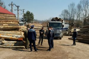Fondul forestier, in atentia oamenilor legii. Ce sanctiuni au fost aplicate (galerie foto)