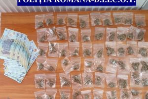 Vindea prin gard cannabis adus din Anglia! Un tânăr din Bihor, 