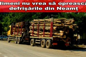 DEFRISARILE MASIVE duc la o caracatita cu tentacule politice. Adevaratul 