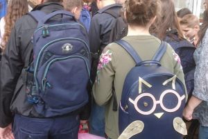Doi elevi din judeţul Botoşani i-au scris ministrului Educaţiei, Monica Anisie