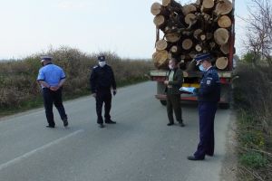 FOTO/ VIDEO: Verificări la Homocea şi Ploscuţeni! Poliţiştii au dat amenzi de aproape 85.000 de lei