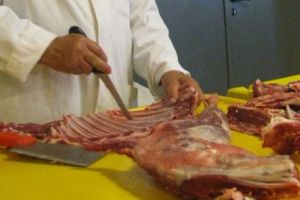 ABATOARE AUTORIZATE PENTRU SACRIFICAREA MIEILOR