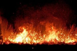 Trenul Dorohoi- Iaşi a trecut prin foc. „Flăcări au trecut prin geamul deschis, câteva femei speriindu-se”