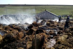 FOTO Șase incendii în câteva ore la Botoşani! Au ars tone de furaje, două adăposturi de animale şi zeci de pomi