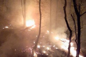 Pompierii au avut o noapte grea – Au stins cu greu incendiul de la Mălâncrav