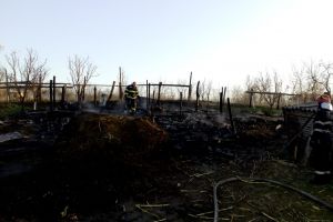 FOTO! Incendiu devastator în judeţul Botoşani: 22 de animale au ars
