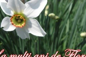 Ce nume de flori sunt sărbătorite în Duminica Floriilor