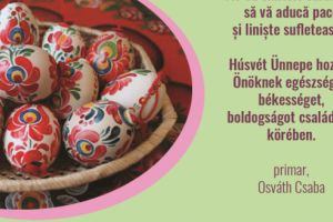 Primăria şi Consiliul Local Acăţari