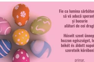 Primăria şi Consiliul Local Fântânele