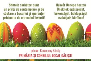 Primăria şi Consiliul Local Găleşti