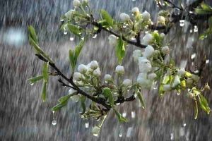 Vremea se schimbă radical în zilele următoare: Precipitaţii în toată ţara. ninsori şi lapoviţă în unele regiuni