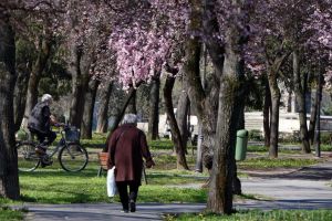 Nu stau blânzi! Amenzi de 500.000 de lei pentru bihorenii care au umblat aiurea de Florii 