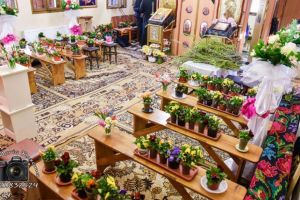 Zeci de ghivece cu flori în locul credincioşilor, la slujba de Florii