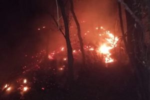 Weekend de foc la Sibiu – Cinci incendii de vegetaţie uscată şi pădure stinse de pompieri