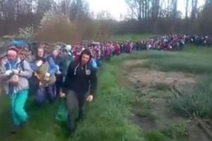 Muncitorii suceveni plecaţi la cules de sparanghel în Germania reclamă că sunt trataţi mai ...