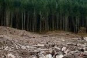 „Războiul nostru este cu virusul ucigaş, dar nu putem ignora nici ceilalţi «viruşi» care ne lasă fără oxigen”