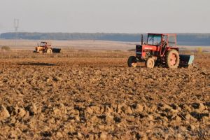 Totul online! Fermierii bihoreni sunt îndemnaţi să îşi depună cererile pentru subvenţie prin internet