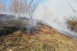 FOTO. Noi incendii de vegetaţie în judeţ. Pompierii au intervenit astăzi în trei localităţi