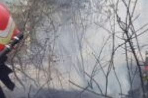 Încă o zi de foc pentru pompierii din Caraş-Severin! Incendiile de vegetaţie nu se mai sfârşesc