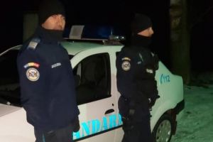 S-au umflat muşchii pe nişte ţigani din Teliu. Dar nu prea mult