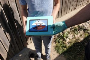 #ConstantaEsteBine - Mii de elevi au nevoie de ajutorul nostru pentru a-si continua studiile:   Am increderea ca ni se vor alatura si alte persoane care isi doresc o Romanie a oamenilor educati    