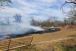 Alerta la ISU Dobrogea: Incendiu de vegetatie uscata la iesire din Murfatlar