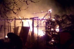 Incendiu la Dumbrăviţa. Aproape o sută de pui de găină au murit în flăcări