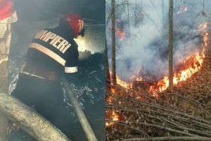 Zi de FOC pentru POMPIERII arădeni! Șase INCENDII în doar 24 de ore în judeţ (FOTO)