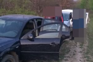 Doi tineri din Țăndărei au încercat să părăsească oraşul, prin pădure, pentru a se întâlni cu iubitele