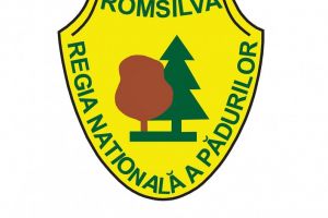 Romsilva, despre taierile ilegale din perioada starii de urgenta