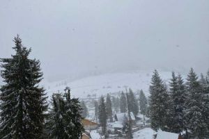 FOTO, VIDEO| Peisaj feeric la Arieşeni, în Saptămâna Mare: Ninge ca-n poveşti, la mijlocul lui aprilie, în Apuseni