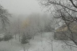 VIDEO Ninge în apropiere de Botoşani