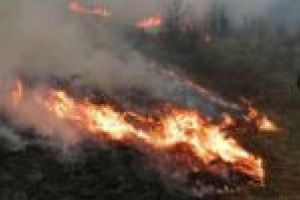 Încă un incendiu de vegetaţie! Pompierii ISU şi voluntarii luptă cu flăcările în Tomeşti!