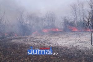 7 incendii stinse în ultimele 24 de ore de pompierii vrânceni!