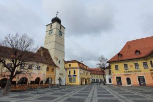 Treisprezece persoane infectate cu coronavirus s-au vindecat la Sibiu