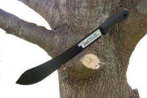 SCENE ȘOCANTE Un avocat a tăiat, în centrul oraşului, cu maceta, un tânăr de 26 de ani