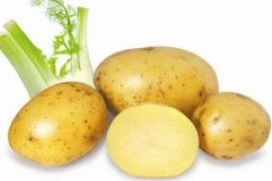 800 kg de cartofi confiscaţi la Lăpuşel