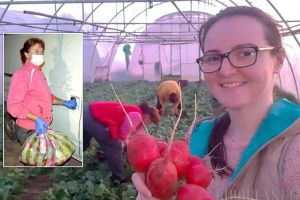 ePiaţa de bunătăţi: În vreme de pandemie, producătorii locali oferă bunătăţi naturale, pe care le duc, echipaţi cu mănuşi şi măşti, până în faţa porţii (FOTO)