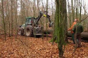 Licitaţie pentru exploatarea a 4.300 mc de masă lemnoasă în valoare de peste 350.000 de lei, pe 4 parcele, în Alba