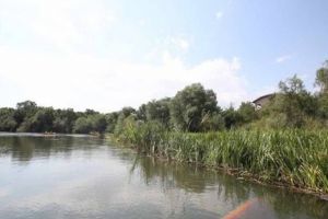 Lucrări pe cursurile de apă din Timiş. Directorul ABA Banat: Asigurăm apărarea cetăţenilor în caz de inundaţii