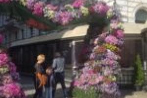 Cel mai frumos festival al florilor din Timişoara ar putea fi anulat. „Nu ar fi potrivit să strângem 100.000 de oameni în centru”