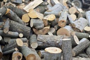 Aproximativ 1.200 de camioane vor căra buştenii din dărâmăturile de la Cheia