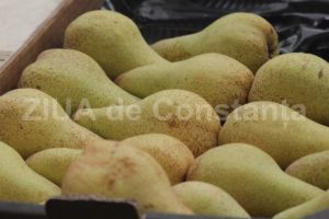 Importanta consumului de pere 