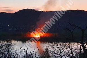 Incendiu de vegetaţie pe Lacul de acumulare Pucioasa