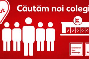 Kaufland anunta peste 250 locuri de munca disponibile in intreaga tara, inclusiv la Constanta
