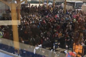 Cine se află în spatele firmei care a trimis românii la cules de sparanghel în Germania