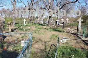 Politistii braileni, pe urmele profanatorilor din satul Florica / Odihna vesnica a zeci de suflete a fost tulburata